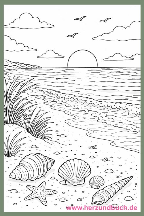 Malvorlage Strand mit Muscheln