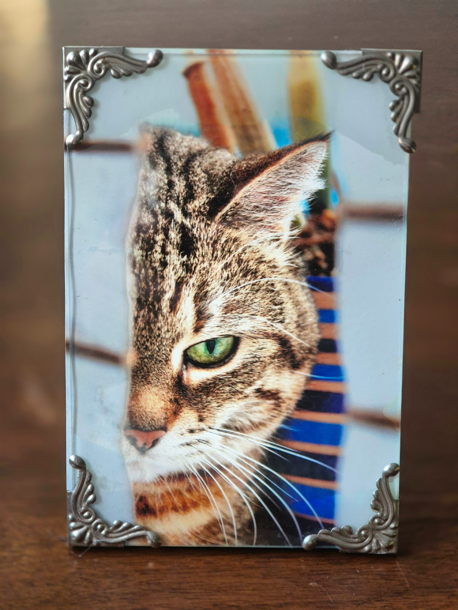 Foto von Paula, der Namensgeberin des Pseudonyms Paula Schildkrug